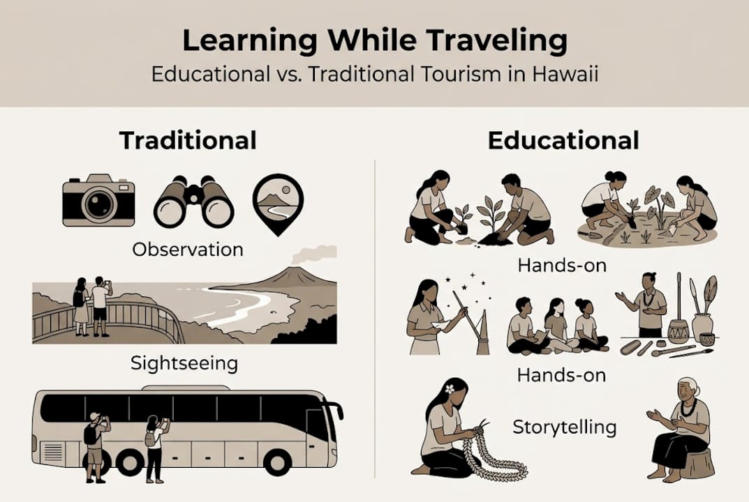 Infographic comparing traditional and educational tourism