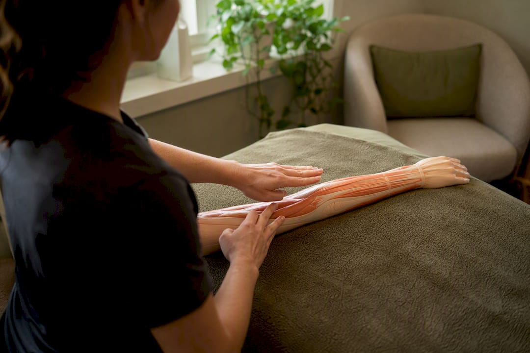 Therapist hands demonstrating Swedish massage strokes on arm model