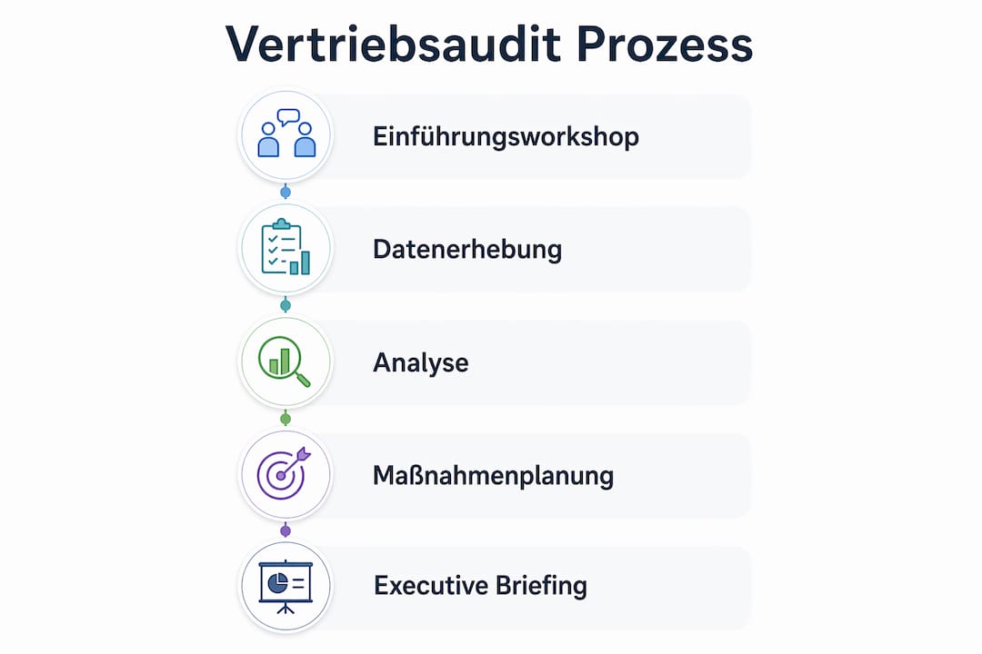Übersichtsgrafik: Die wichtigsten Schritte im Vertriebsaudit auf einen Blick