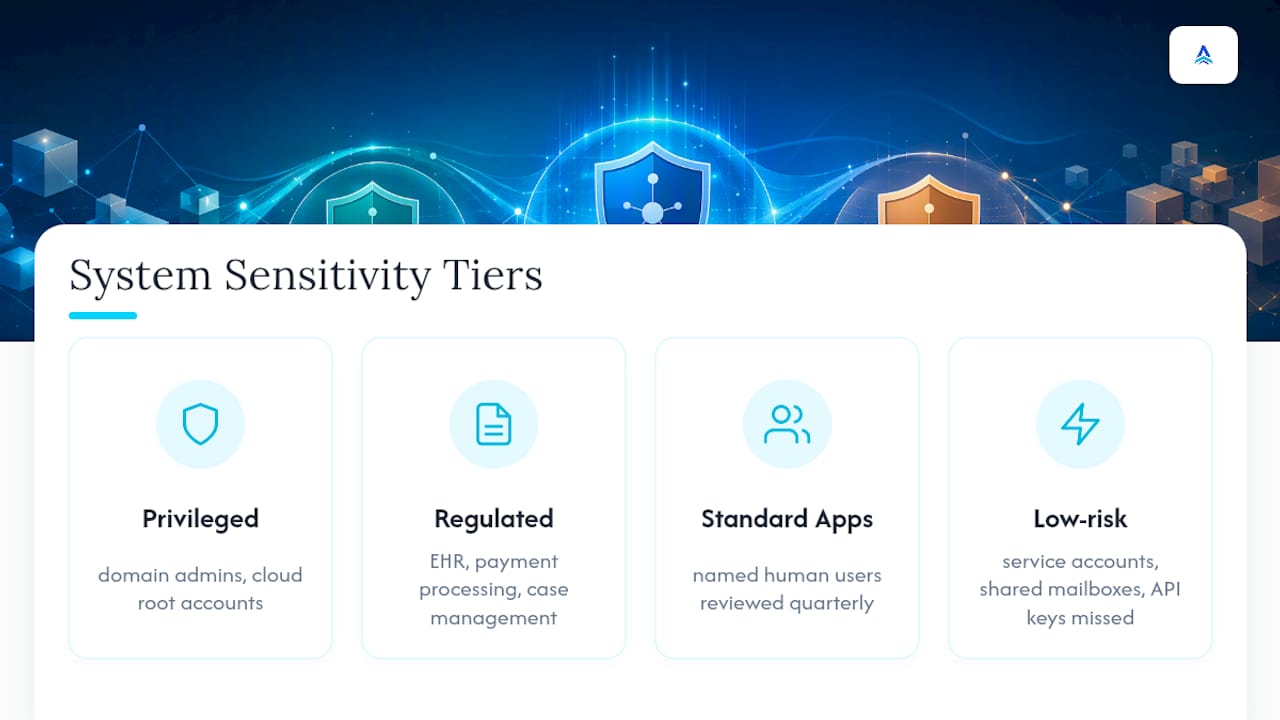 Diagram of system sensitivity tiers for access review scope