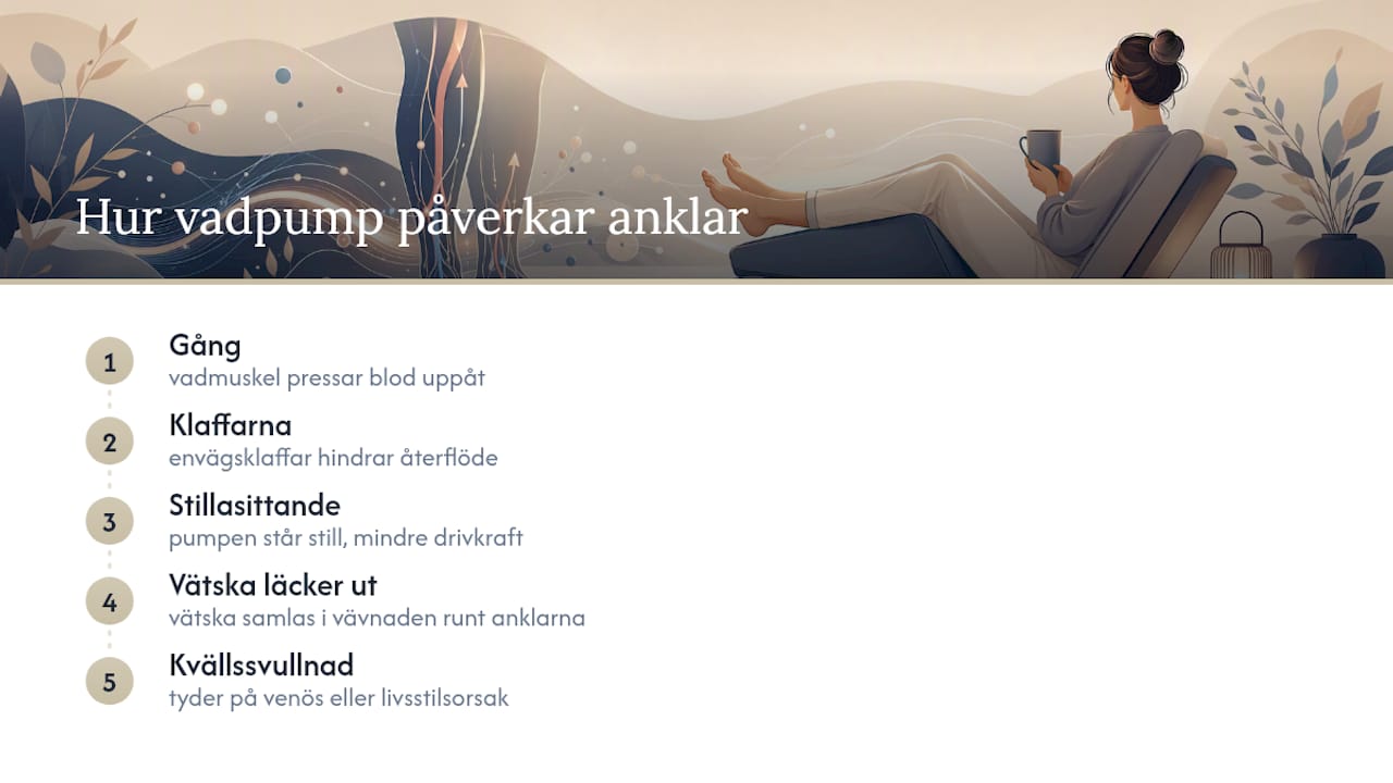 Så påverkar vadmuskelpumpen svullna anklar