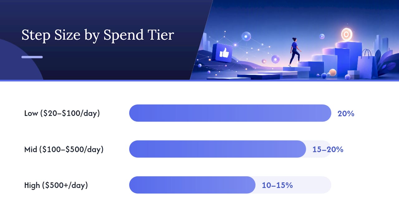 What's the Right Cadence for Facebook Ads Budget Scaling? — overview diagram