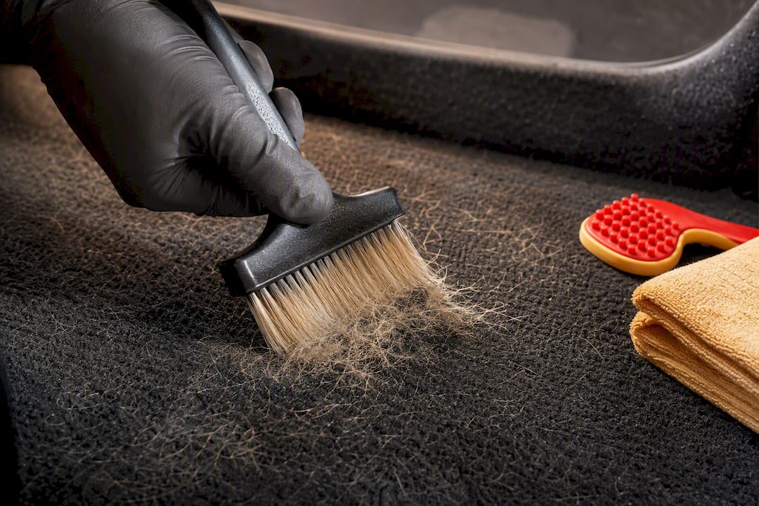 Brush removing pet hair from vehicle carpet