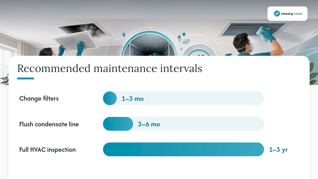 How Can You Stop Mold From Coming Back? — overview diagram