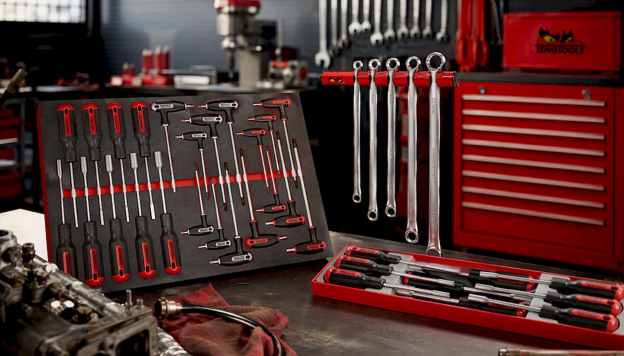 Teng Tools Nut Driver & Hex/TX T-Handle Set FOAM4X4 23 Pieces OLD — TTEX23