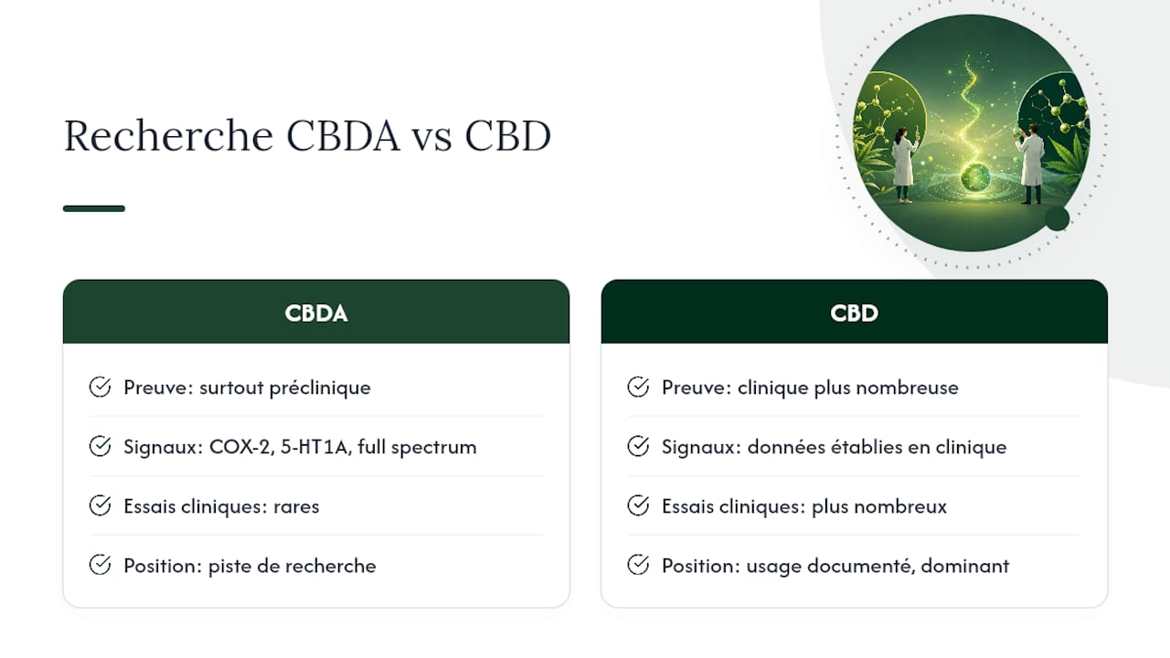 Où en est vraiment la recherche sur le CBDA et le CBD en 2026 ? — overview diagram