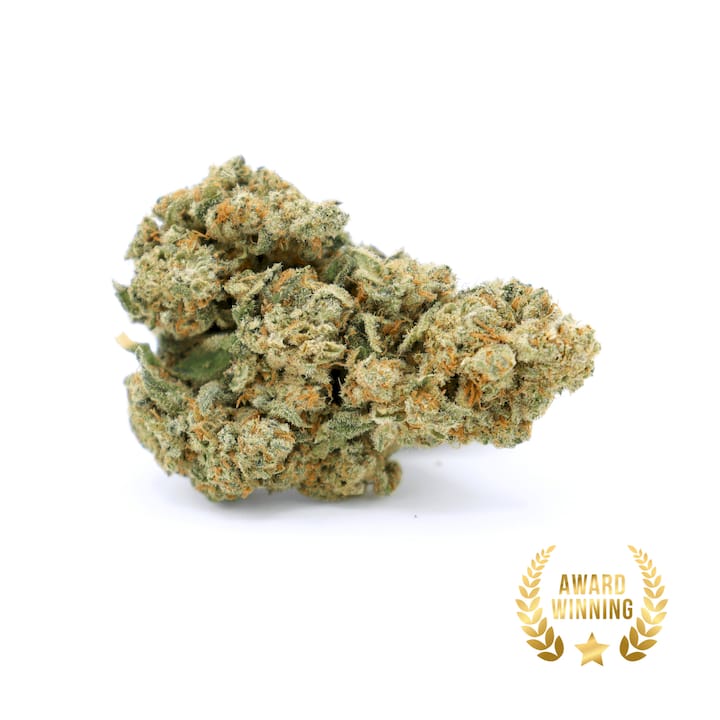 Amnésia | Fleur CBD Hydroponie | 10,7% CBD