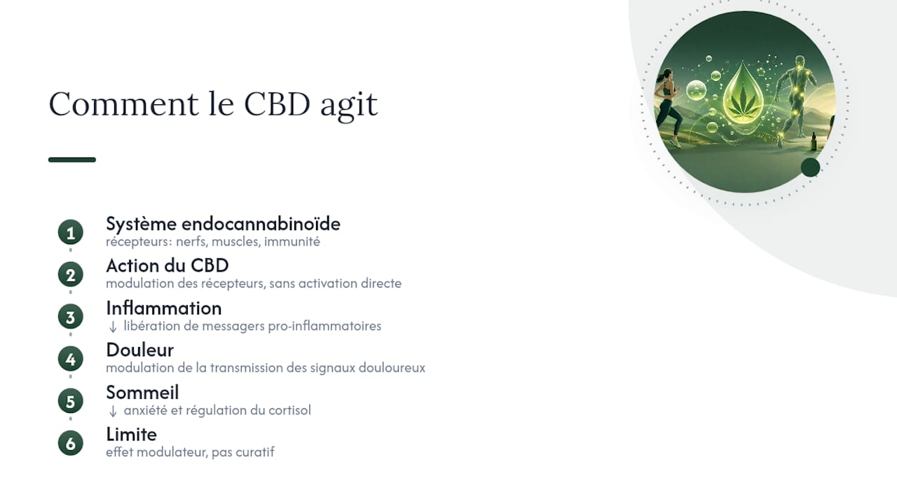 Pourquoi le CBD agit sur l'inflammation, la douleur et le sommeil — overview diagram