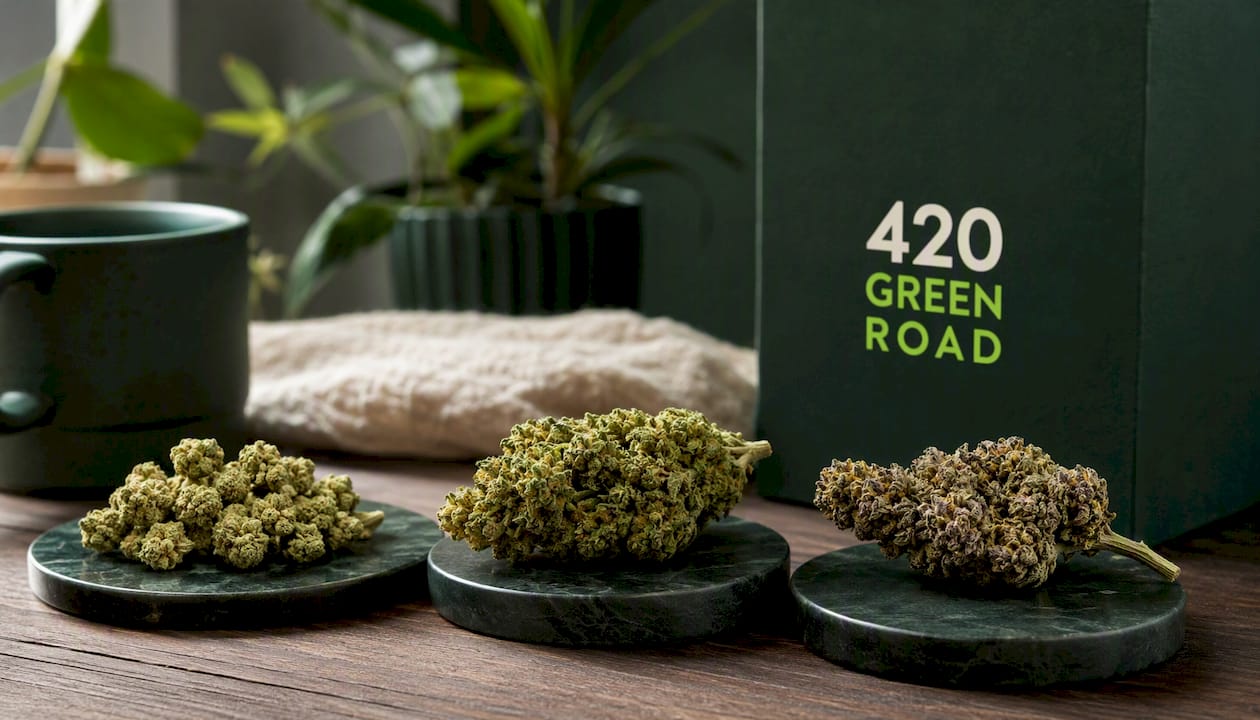 Mix Mini Bud Premium CBD | Fleur CBD Indoor