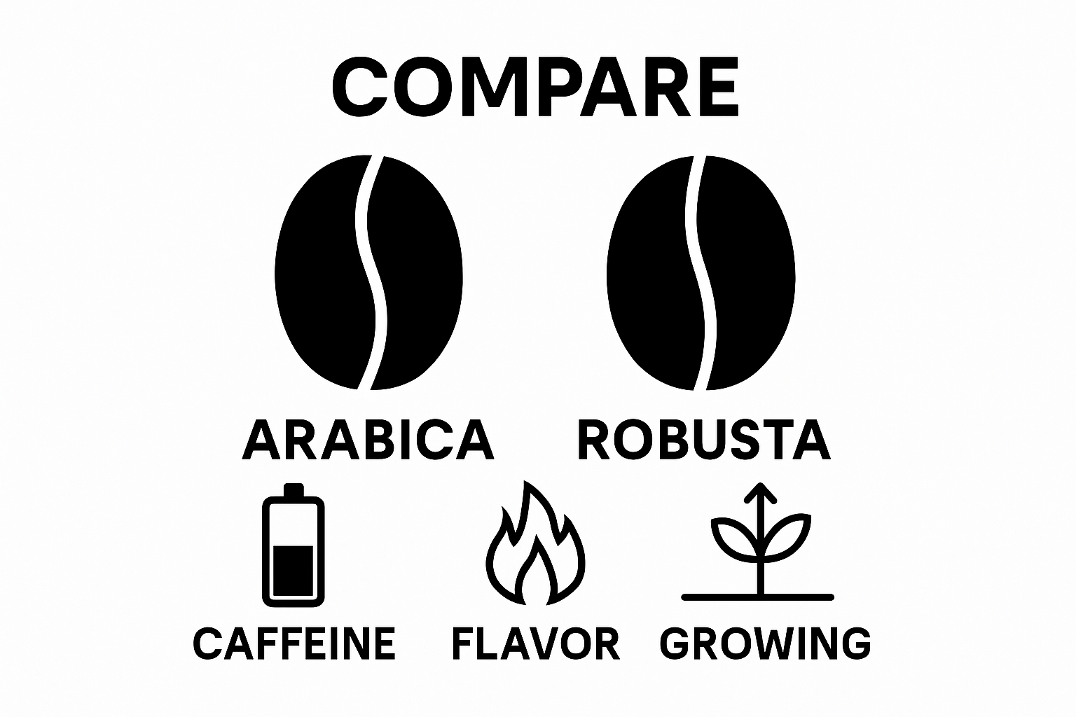 Arabica vs Robusta coffee beans comparison infographic