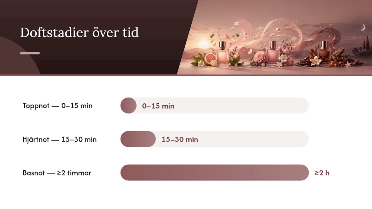 Timeline for experiencing a perfume's three fragrance notes