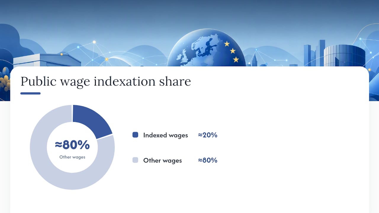 How Does the Euro Area Handle Public Wage and Pension Indexation? — overview diagram