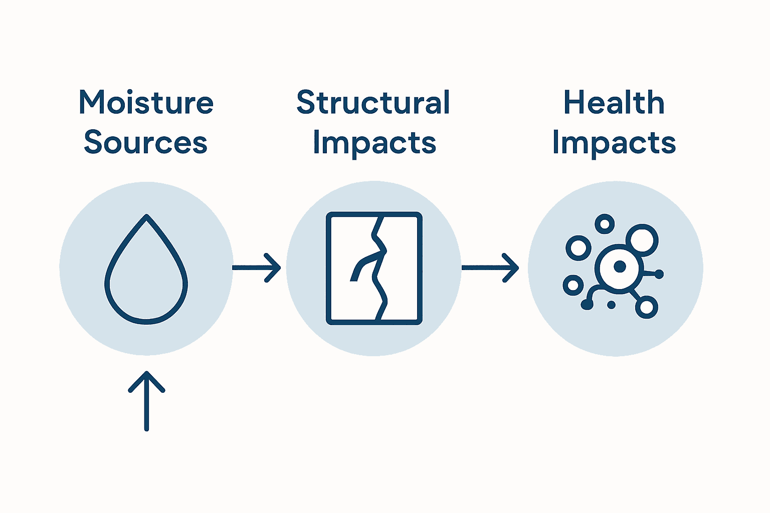 Infographic showing damp’s effect on walls and health