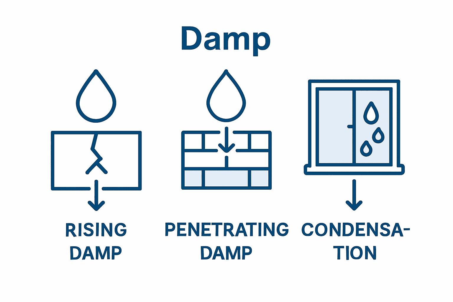 Infographic showing signs of rising, penetrating, condensation damp
