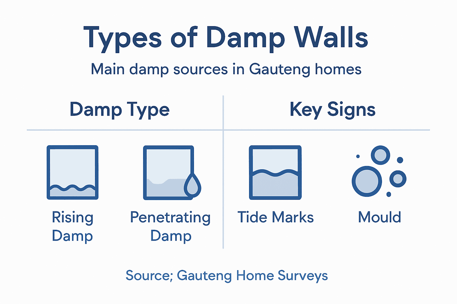 Infographic classifying main types of damp walls