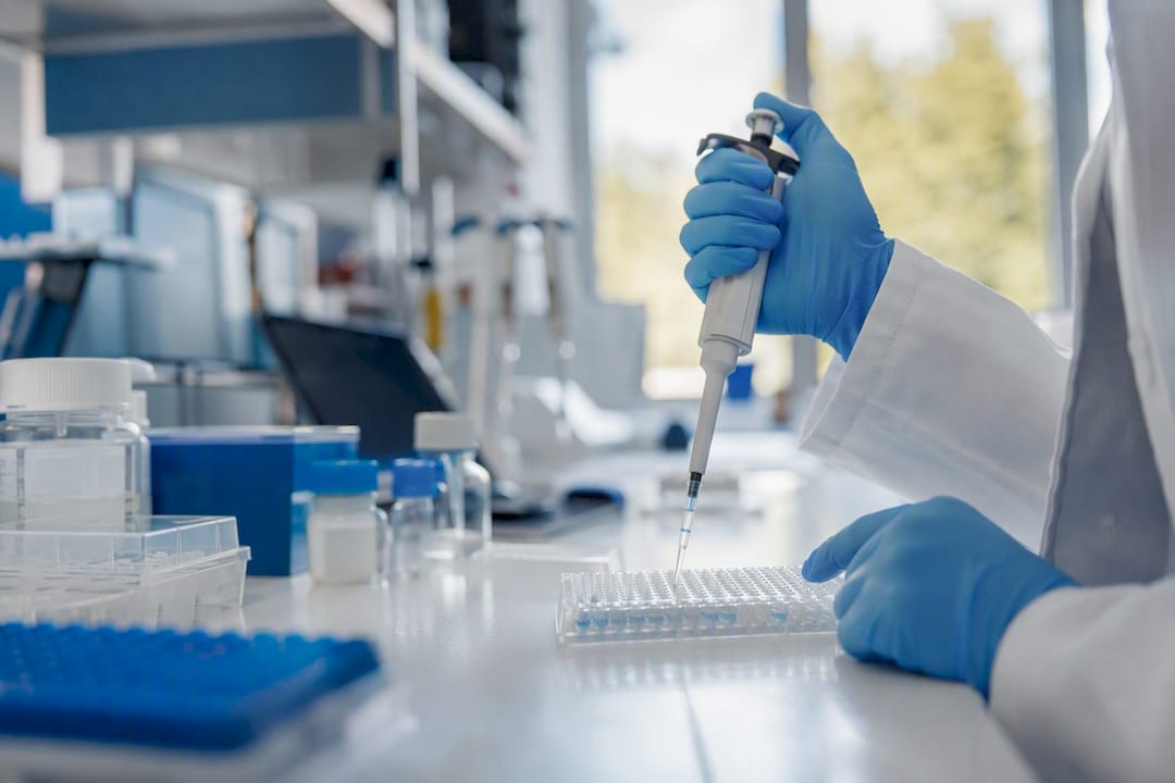 Scientifique réalisant un pipetage dans les puits d'une microplaque ELISA