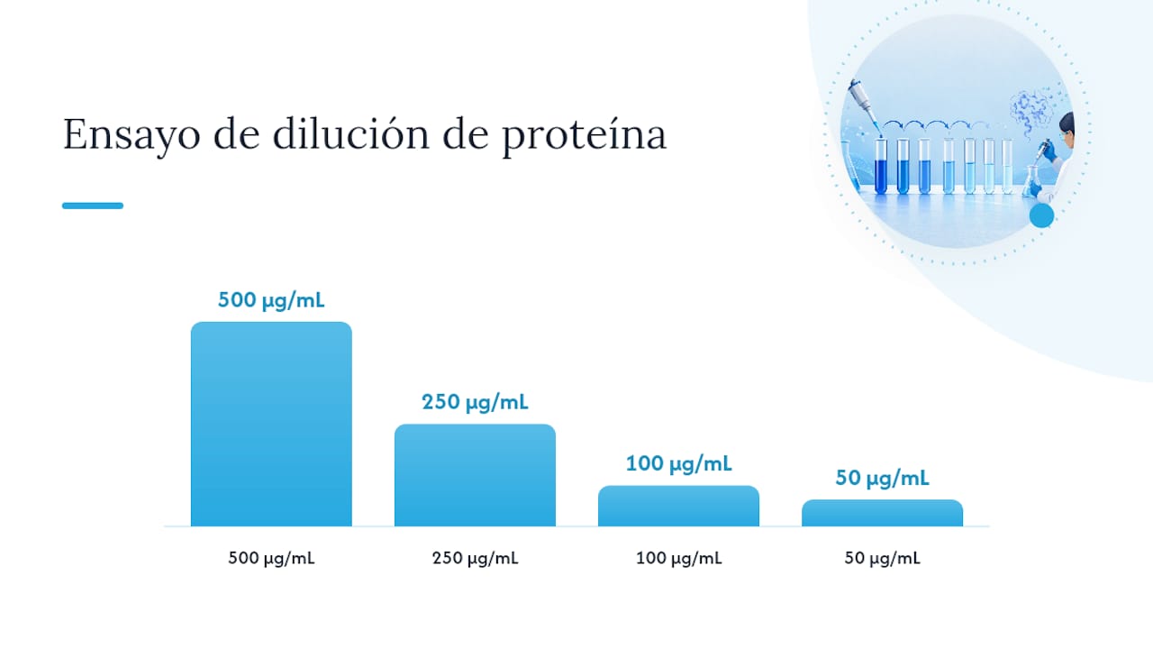 Qué variables controlan realmente el plegamiento correcto — overview diagram