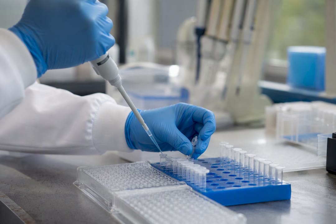 Scientifique réalisant des dilutions pour un dosage ELISA à l’aide d’une micropipette