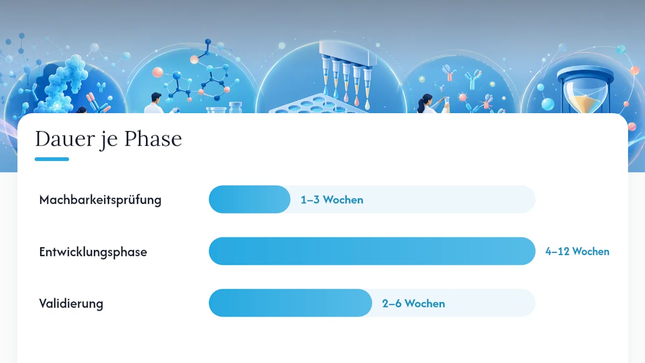 Wie lange dauert die Entwicklung und was kostet sie? — overview diagram