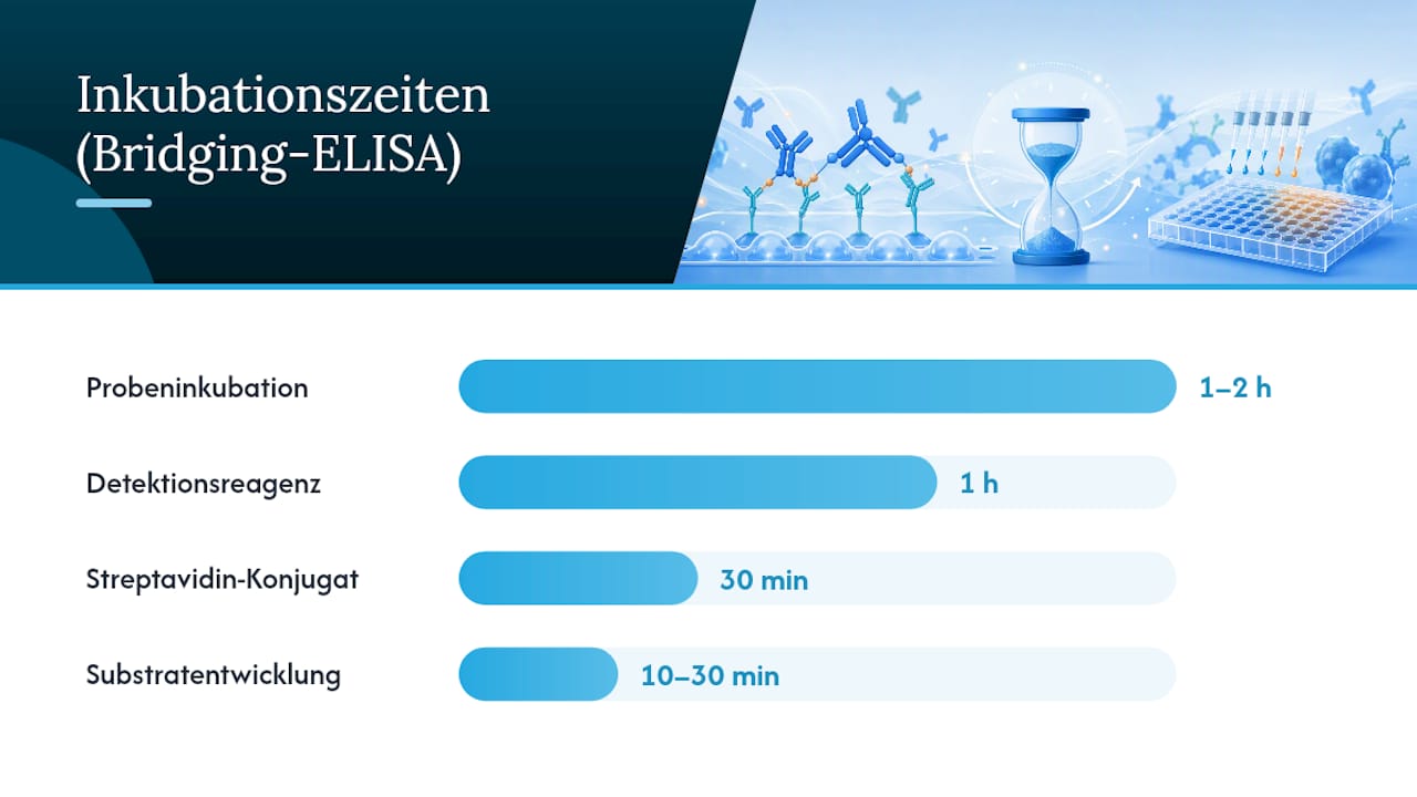 Bridging‑ELISA aufbauen: Materialien, Kontrollen und Geräte — overview diagram