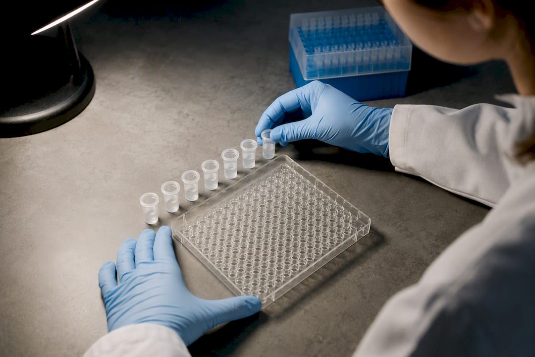 Standardreihe neben einer Mikrotiterplatte im Labor