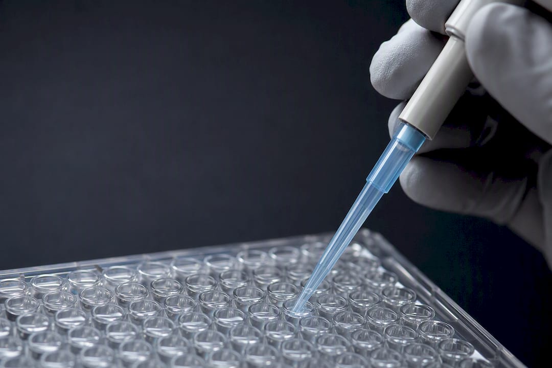 ELISA-Mikrotiterplatte während des kontrollierten Waschschritts