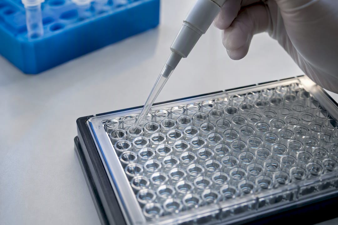 Pipette über der ELISA-Mikroplatte positioniert