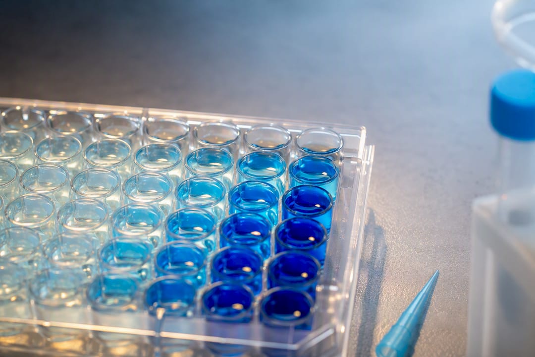 TMB-Farbwechsel in ELISA-Mikroplatten