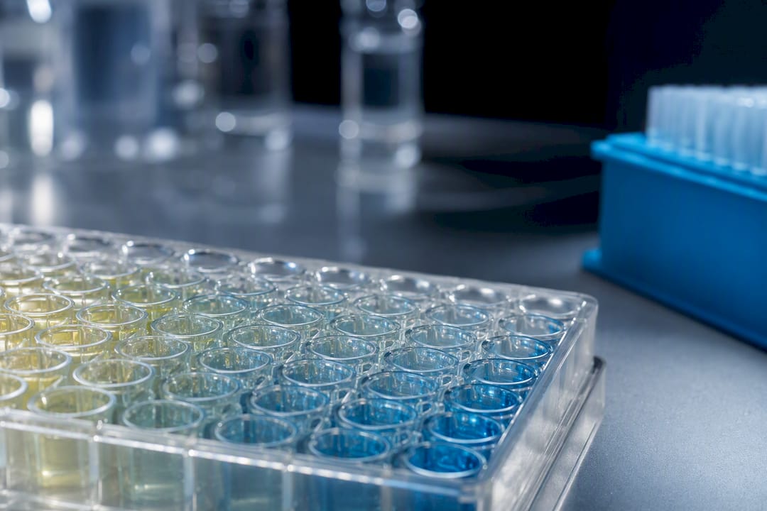 ELISA-Mikrotiterplatte mit Standards in der Laborroutine