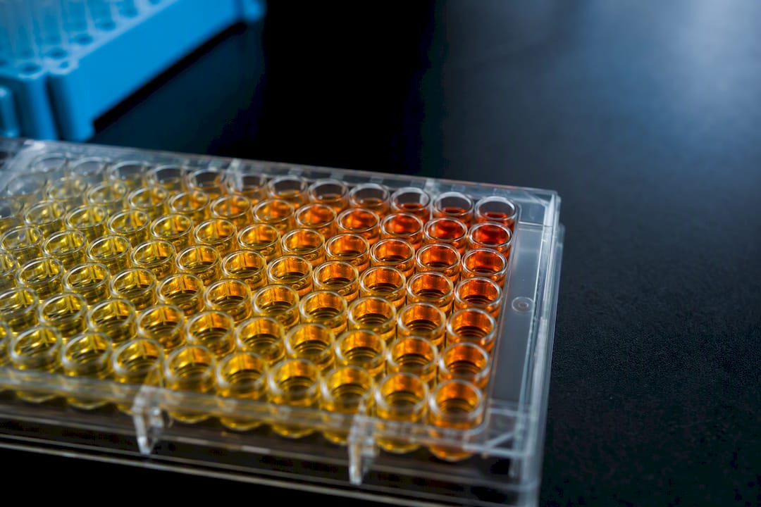 Konzentrationsreihe in ELISA-Mikrotiterplattenmulden