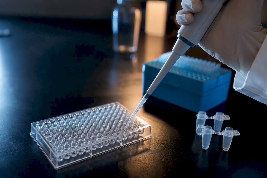 Pipetage d’un réactif dans une microplaque ELISA