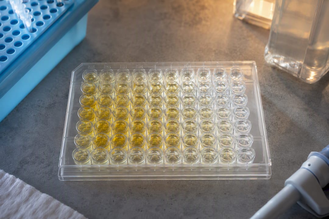 Plaque ELISA disposée en titration en damier
