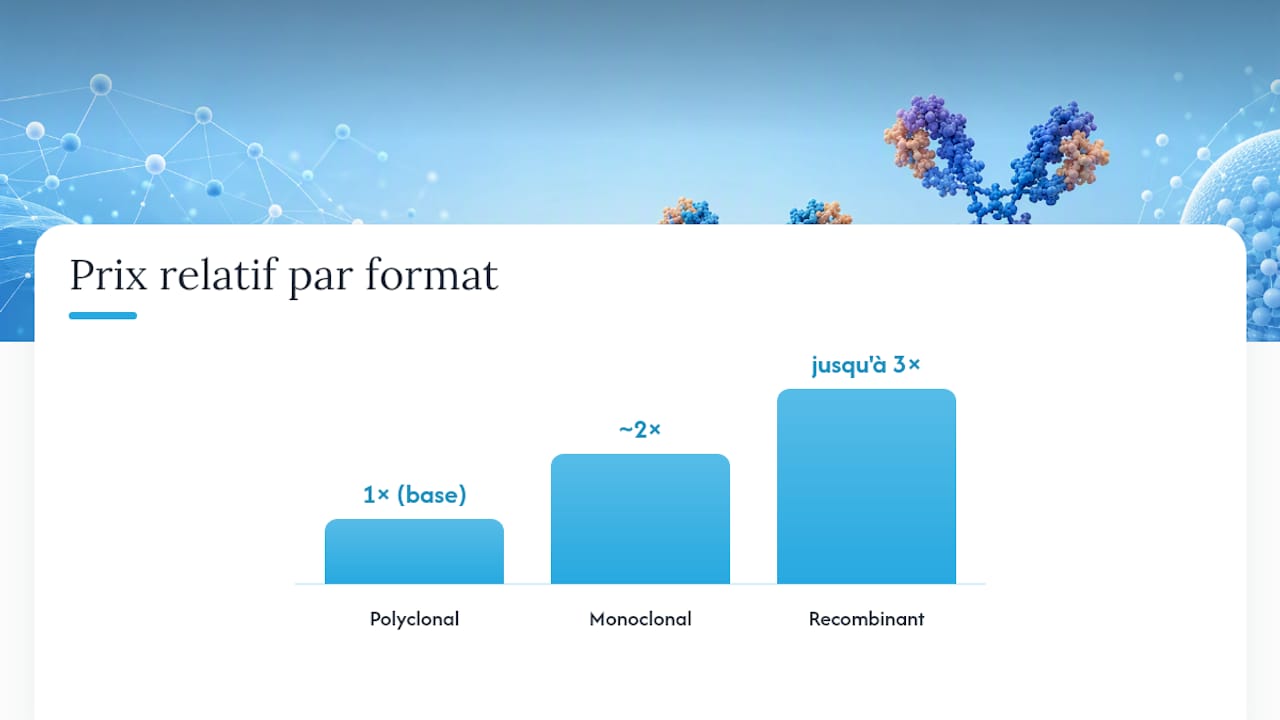 Comparaison des trois formats d'anticorps