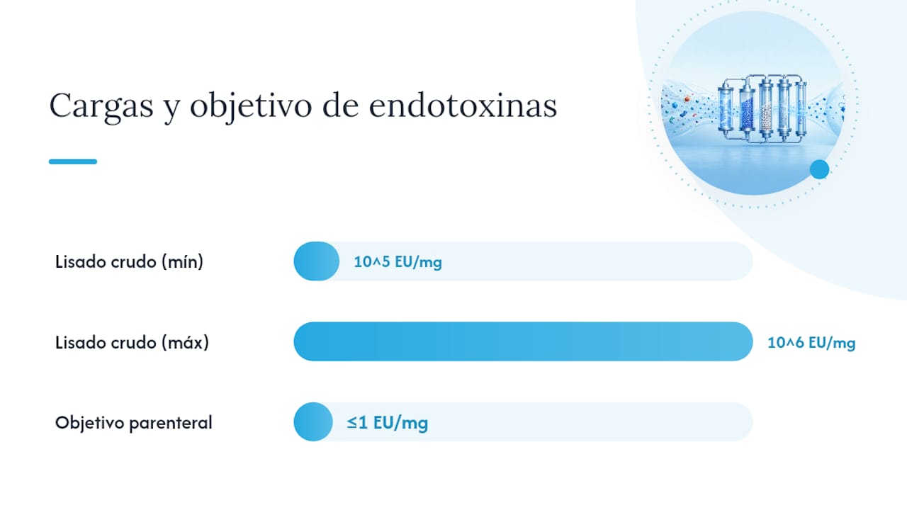 Qué son las endotoxinas y qué niveles son aceptables en proteínas recombinantes — overview diagram
