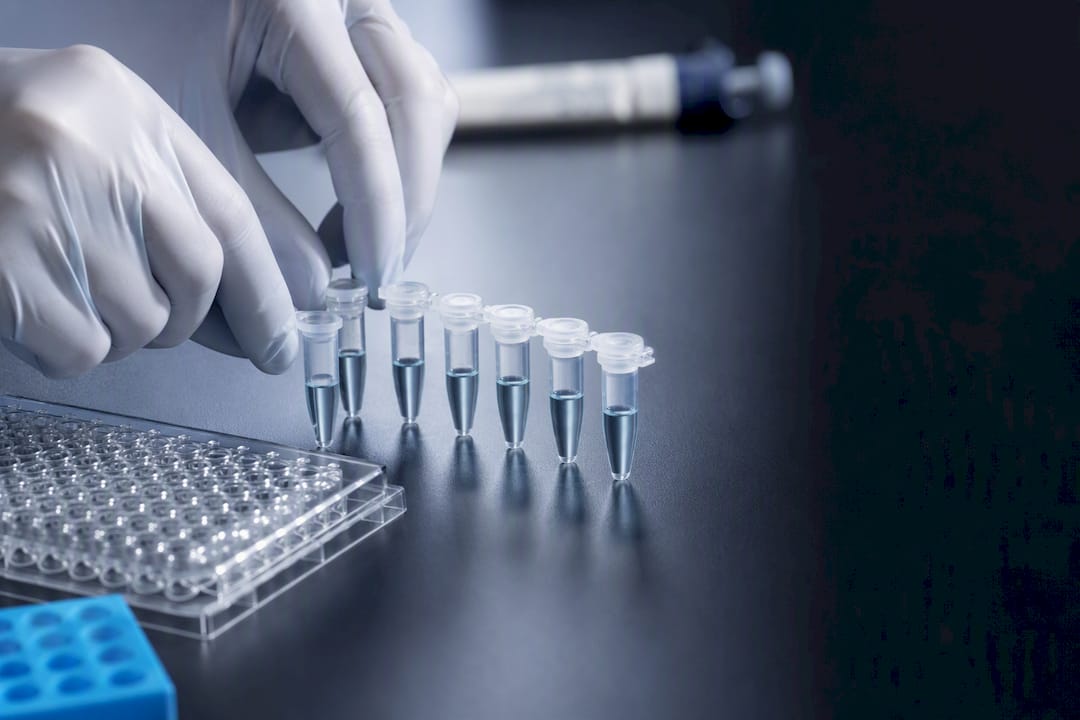 Standards multipoints préparés à proximité d’une microplaque ELISA