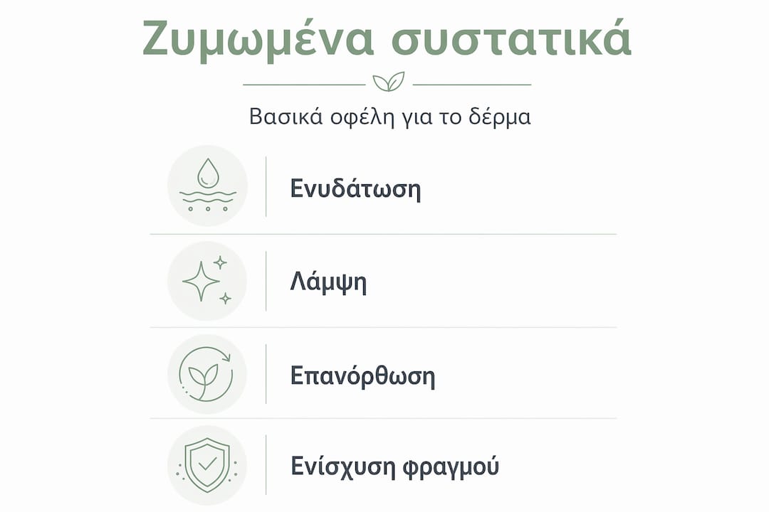 Εικονογραφημένη παρουσίαση με τα οφέλη των ζυμωμένων συστατικών