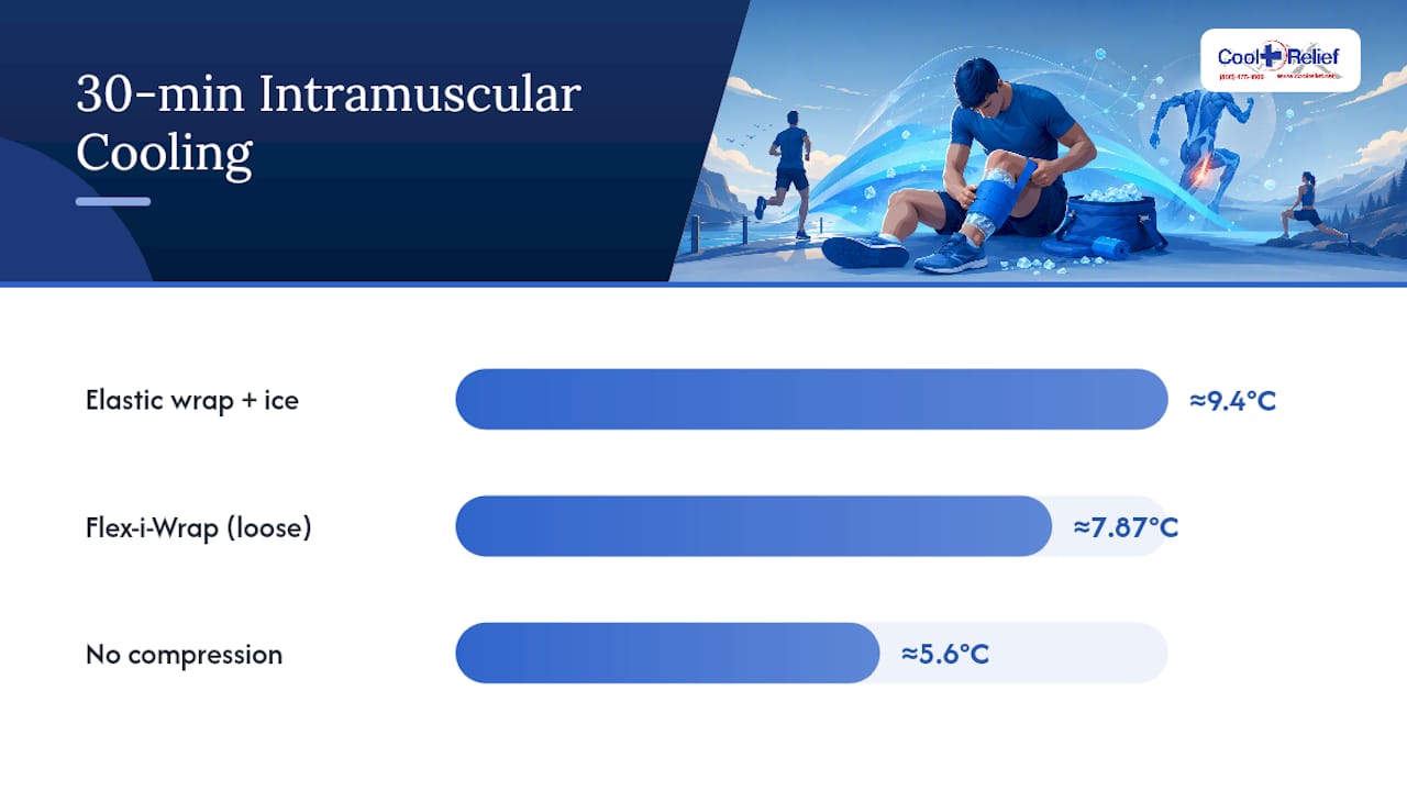 Thirty-minute intramuscular cooling comparison
