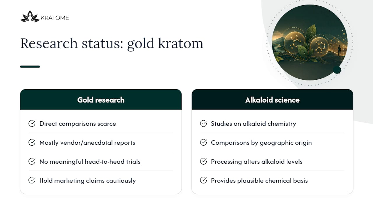 Scientific research status on gold kratom's effects and alkaloids — overview diagram