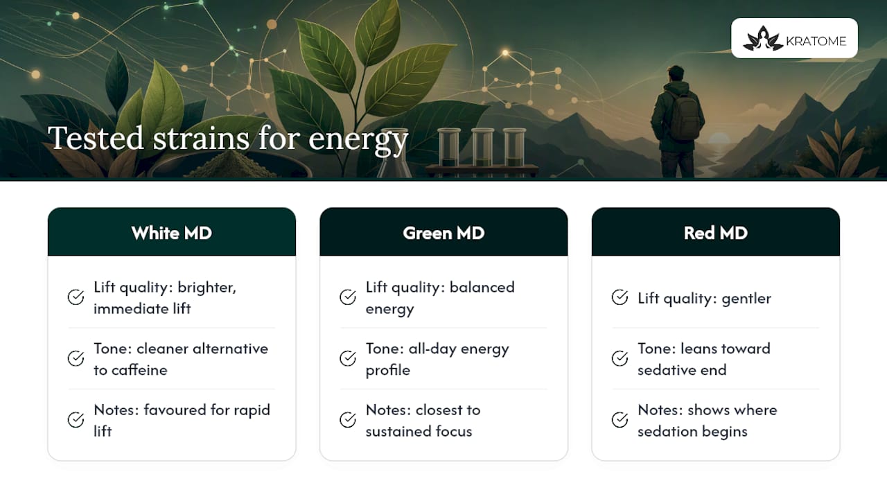 Where to find tested strains suited to energy and focus — overview diagram