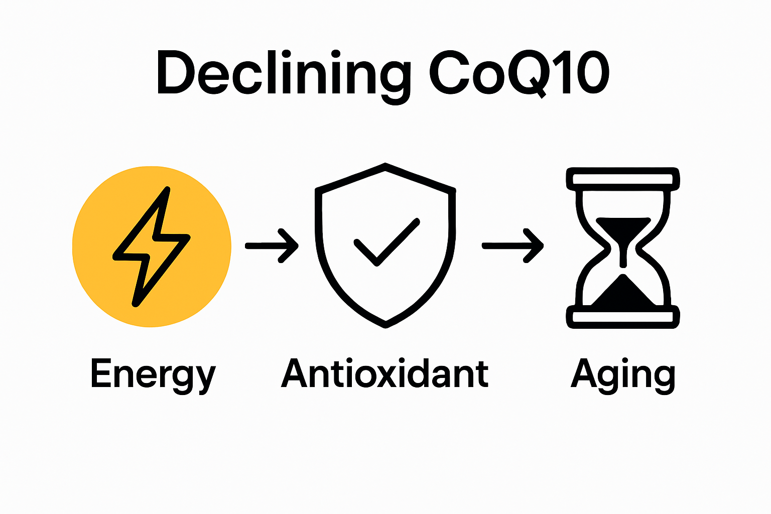 CoQ10 levels vs energy and aging infographic with three icons
