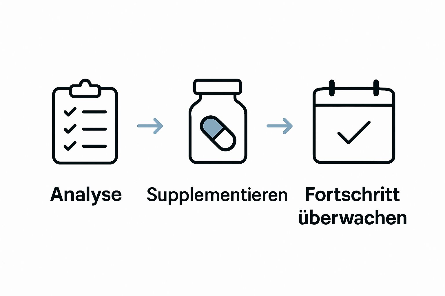 Drei-Phasen Spermidin Workflow mit Icons für Analyse, Supplementierung, Monitoring