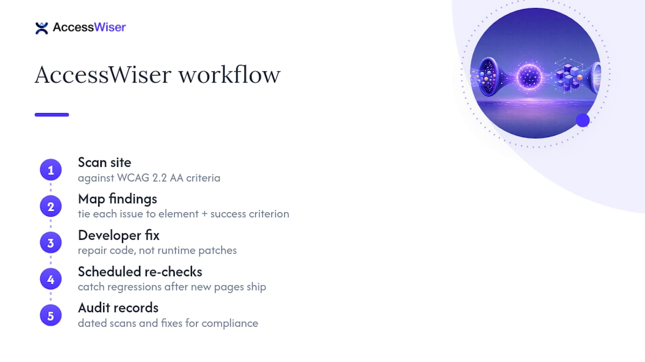 Let AccessWiser Catch What Manual Reviews Miss — overview diagram
