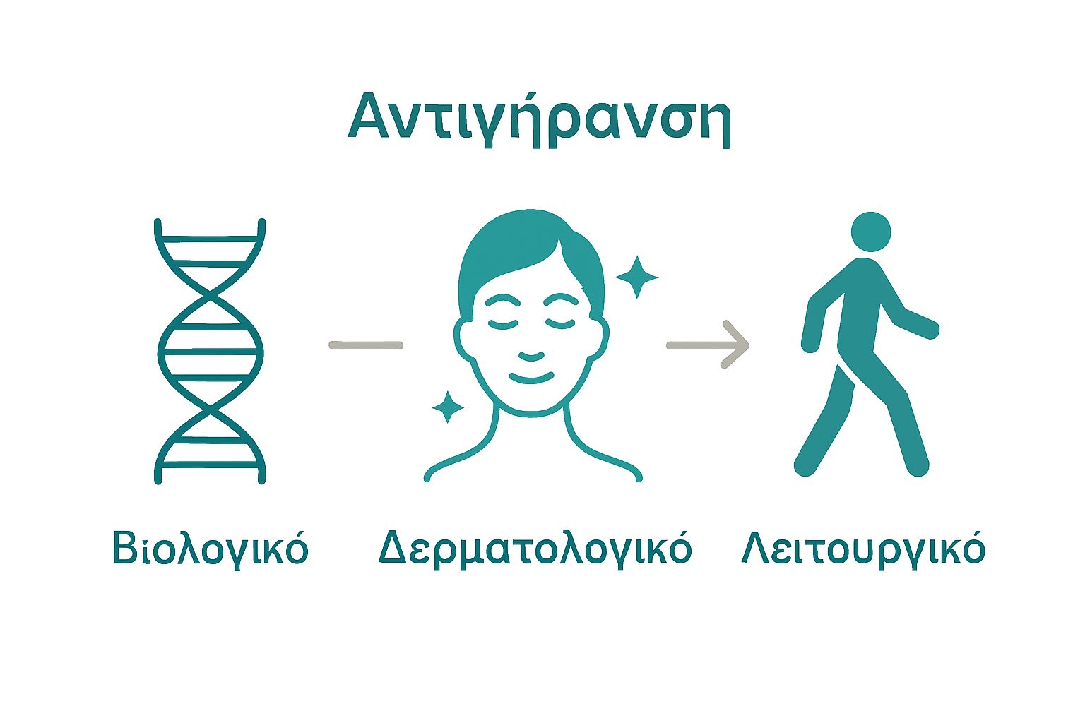 Infographic comparing biological, dermatological, and functional levels of anti-aging.