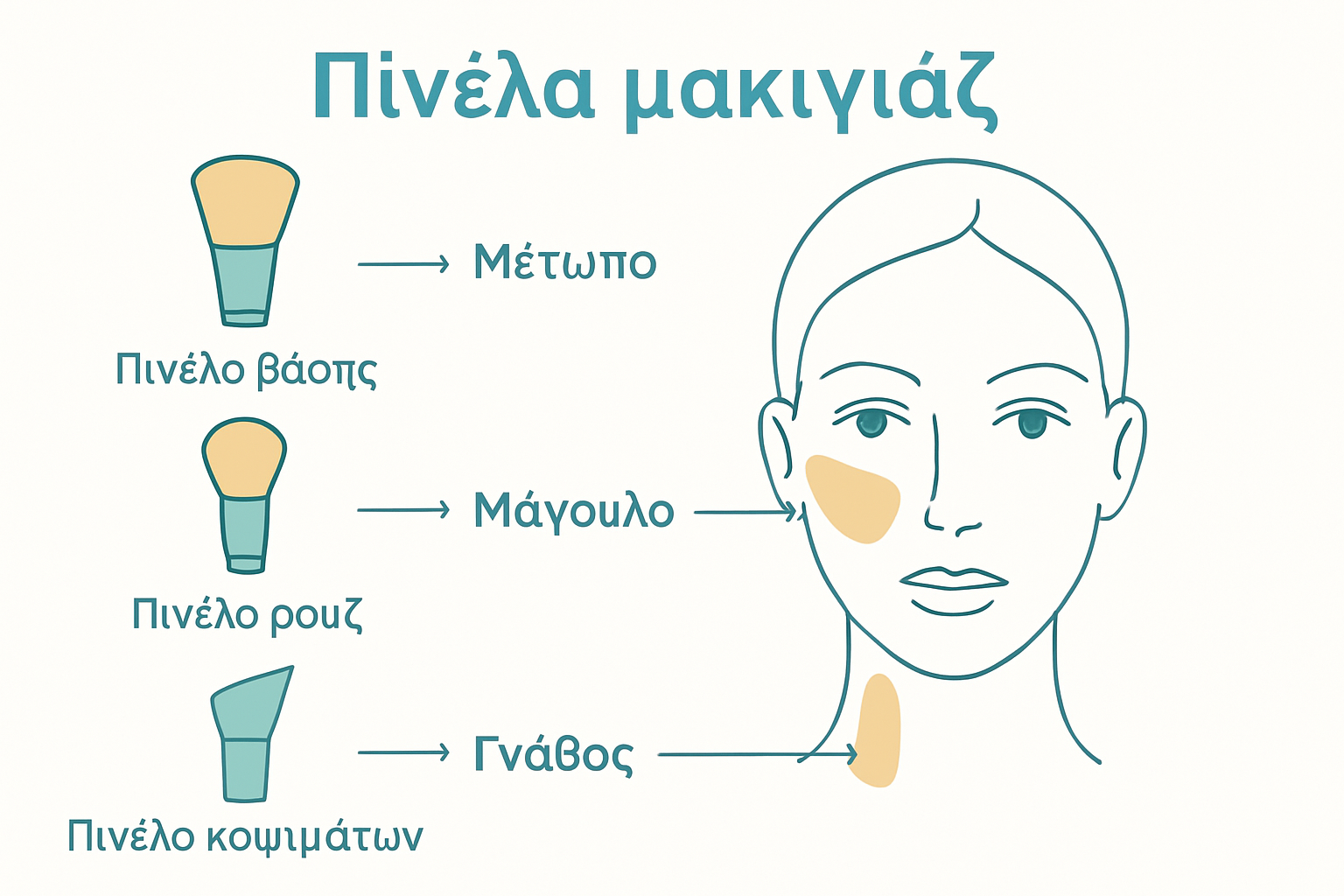 Πώς να χρησιμοποιήσετε πινέλα μακιγιάζ για άψογο look 2 Infographic showing matching makeup brushes to facial zones