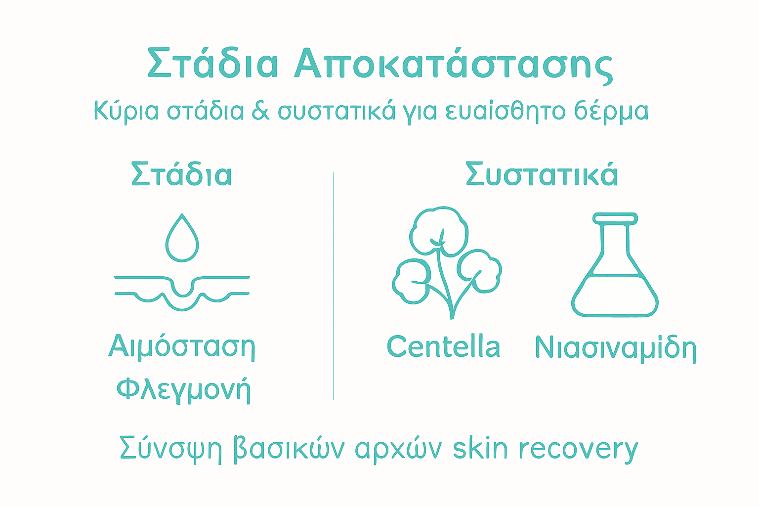 Γραφικό με τα βασικά στάδια της ανάρρωσης και τα κύρια συστατικά που παίζουν ρόλο στη διαδικασία.