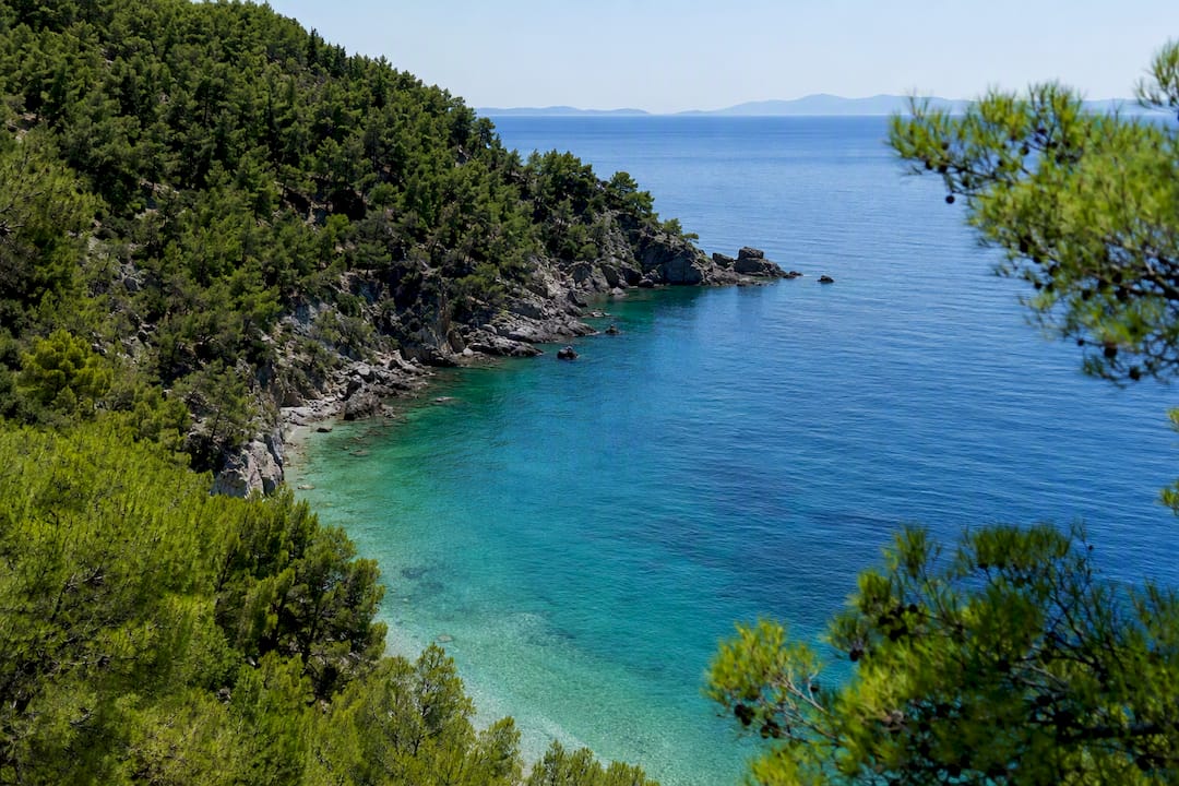 Green pine forest coastline of Sporades