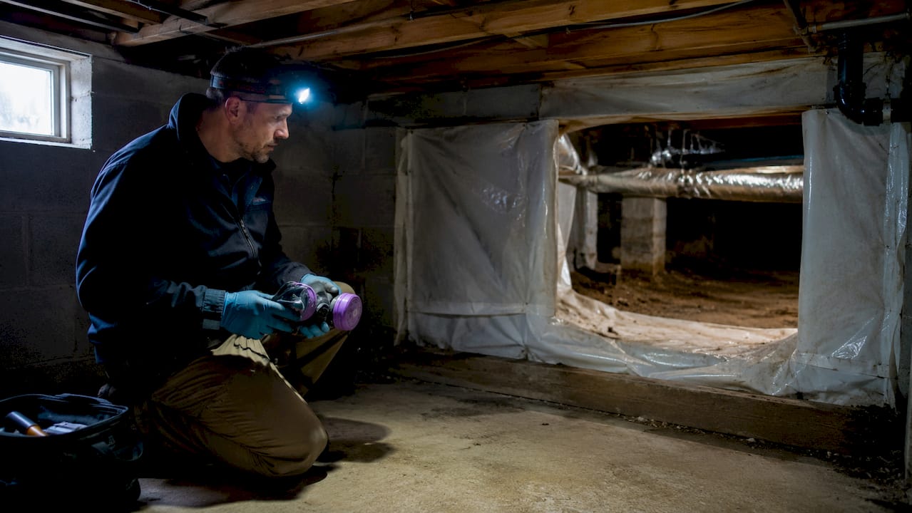 Inspector's hands holding respirator and gloves