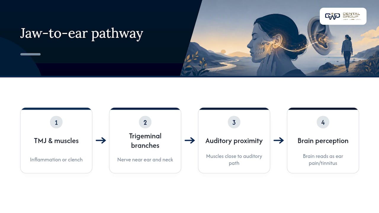 Anatomy map of TMJ-related ear symptoms