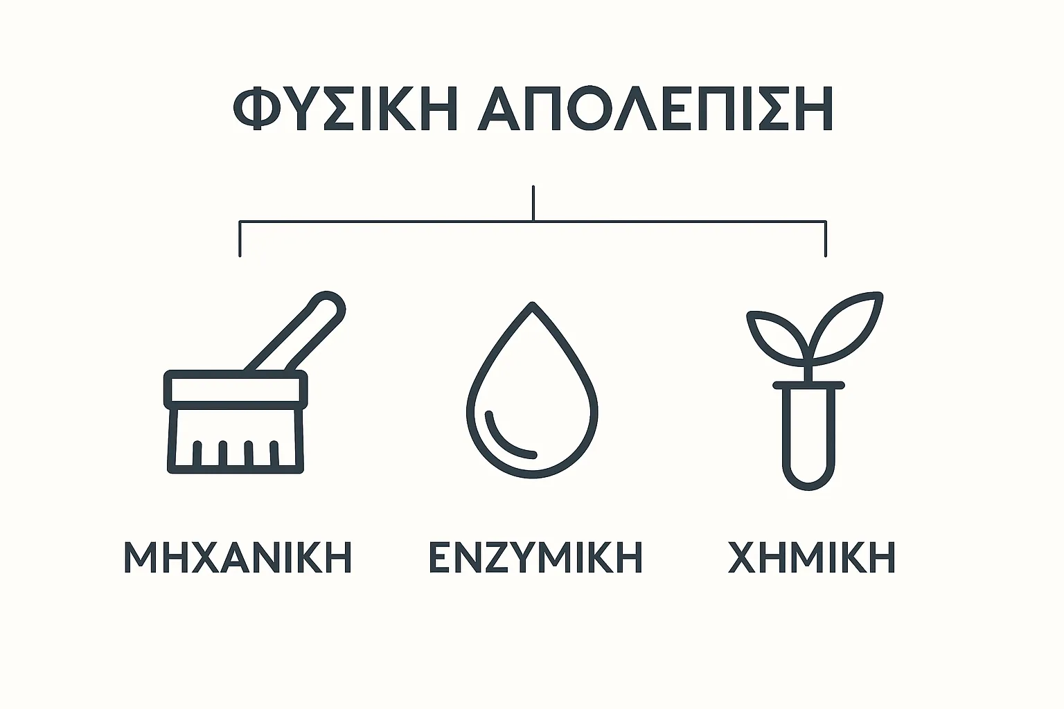 Infographic showing three categories of natural exfoliation: mechanical, enzymatic, chemical