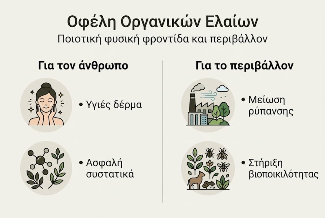 Λιτό infographic που αναδεικνύει τα πλεονεκτήματα των φυσικών ελαίων